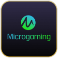 microGaming.27e7087b.png